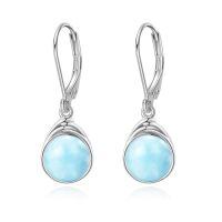 wholesale 925 Sterling Silver Dangle Earrings Wholesale With Black Onyx Stones Elegant Design-Larimar