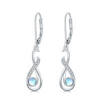 wholesale 925 Sterling Silver Moonstone Drop Earrings Platinum Plated Infinity Crystal Teardrop Dangle Earrings For Women-Infinity