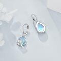 wholesale 925 Sterling Silver Turtle Teardrop Moonstone Leverback Earrings for Women-0-3