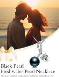 wholesale 925 Sterling Silver & White Gold Plated Black Pearl and Cubic Zirconia Heart Pendant Necklace for Women-0-3