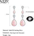 wholesale Sterling Silver White Opal Larimar Turquoise Moissanite Drop Dangle Earrings for Women-0-12