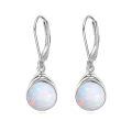 wholesale 925 Sterling Silver Dangle Earrings Wholesale With Black Onyx Stones Elegant Design-0-15