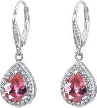 wholesale 925 Sterling Silver 12 Birthstone Trendy Dangle Earrings for Women Teens-06-July-Ruby