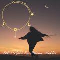 wholesale 14K Gold Sun & Moon Charm Ankle Anklet - Solid Gold Foot s for Women-0-1