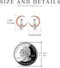 wholesale 925 Sterling Silver Cat and Crescent Moon Stud Earrings for Women-0-14