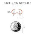 wholesale 925 Sterling Silver Cat and Crescent Moon Stud Earrings for Women-0-14