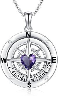 wholesale 925 Sterling Silver 12 Birthstones Nautical Compass Necklace for Women-02-February-Amethyst