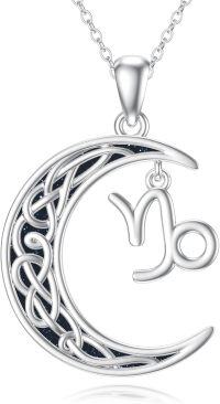 wholesale Sterling Silver Zodiac Necklace 12 Constellations Pendant Jewelry for Women Men-Capricorn(12.22-1.19)