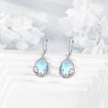 wholesale 925 Sterling Silver Drop Earrings Wholesale With Waterfall Design And Crystal Accents-0-3