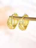 wholesale Gold-plated 925 Sterling Silver Moon & Star Hoop Earrings for Women-0-1