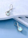 wholesale 925 Sterling Silver Owl Teardrop Dangle Earring  for Women & Girls-0-5