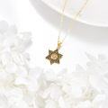 wholesale 14K Gold Cross in Star of David Pendant Necklace Judaica s for Men & Women-0-4