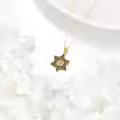 wholesale 14K Gold Cross in Star of David Pendant Necklace Wholesale Judaica s for Men & Women-0-4