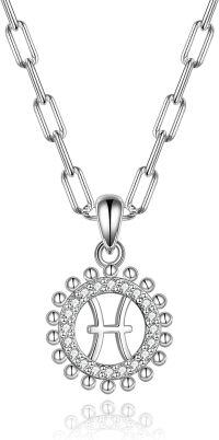 wholesale 925 Sterling Silver Zodiac Coin Paperclip Chain Necklace, Minimalist Dainty Pendant, Hypoallergenic Gift for Women-Pisces (2.19 - 3.20)