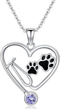 wholesale Sterling Silver Birthstone Vet Stethoscope Necklace Dog Paw Pendant Nurse Jewelry Gift for Women Veterinarians-Stethoscope 06-June Birthstone