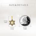 wholesale 14K Gold Cross in Star of David Pendant Necklace Judaica s for Men & Women-0-2