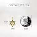 wholesale 14K Gold Cross in Star of David Pendant Necklace Wholesale Judaica s for Men & Women-0-2