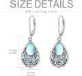 wholesale 925 Sterling Silver Abalone Shell Dragonfly Drop Dangle Earrings for Women-0-5
