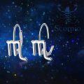 wholesale TOUPOP 925 Sterling Silver Horoscope Zodiac 12 Constellation Astrology Leverback Dangle Earrings For Women -0-4