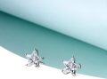 wholesale 925 Sterling Silver Star Shaped Crystal Stud Earrings with Five-Prong Setting for Women-0-3
