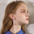 wholesale 925 Sterling Silver Dreamcatcher Rose Gold Flower Feather Drop Earrings-0-47