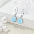 wholesale 925 Sterling Silver Larimar Teardrop Earrings for Women-0-1