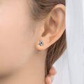 wholesale 925 Sterling Silver Turtle Heart Blue Crystal Stud Earrings for Women-0-5