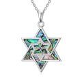 TOUPOP 925 Sterling Silver Evil Eye Pendant Star Of David Necklace-0-0