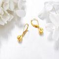 wholesale Gold 925 Sterling Silver Yellow Gold Tear Drop Lever Back Dangle Earrings for Women-0-3