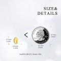 wholesale 14k Gold Polished Cowrie Shell Stud Earrings For Women-0-2