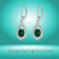 wholesale Sterling Silver Genuine Simulated Birthstone Teardrop Leverback Earrings-0-22