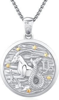 wholesale 925 Sterling Silver Capricorn Zodiac Sign Constellation Pendant Necklaces for Women Men Astrology Gifts-12-Capricorn（B-White Dec.22-Jan.19）
