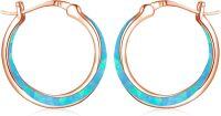 wholesale 925 Sterling Silver Blue Fire Opal CZ Huggie Hoop Earrings for Women-B6-blue opal(rose glod hoops)