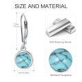 wholesale 925 Sterling Silver Turquoise Drop Earrings For Women And Girls-0-5