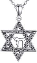 wholesale 925 Sterling Silver Camel in Star of David Pendant Necklace for Women and Men-0-0
