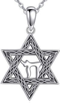 wholesale 925 Sterling Silver Camel in Star of David Pendant Necklace for Women and Men-Chai