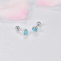wholesale 925 Sterling Silver Natural Turquoise 6mm Round Screwback Stud Earrings for Women-0-2