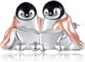 wholesale 925 Sterling Silver Penguin Book Reading Brooch Pins for Women Girls Gifts Christmas Jewelry-0-0