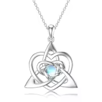 TOUPOP Sterling Silver Irish Celtic Knot Necklace Pendant Jewelry Gift-undefined