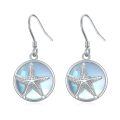 TOUPOP Sterling Silver Moonstone Dangle Drop Earrings-0-0