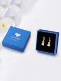 wholesale 925 Sterling Silver Duck Moonstone Drop Earrings for Women-0-6