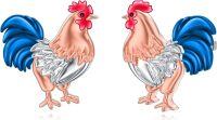 wholesale 925 Sterling Silver Rooster Stud Earrings - Animal  for Women-Chicken