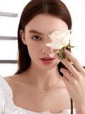 TOUPOP 14K Solid Gold Heart Paw Print Necklace with Stones-0-2