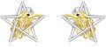 wholesale 925 Sterling Silver Eagle Head Star Stud Earrings Gothic Viking Jewelry-0-0