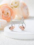 wholesale 925 Sterling Silver Squirrel Teardrop Dangle Earrings for Women and Teen Girls-0-2