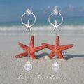 wholesale 925 Sterling Silver Starfish Pearl Drop Earrings with Circle and Chain Design-0-1
