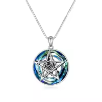 TOUPOP Sterling Silver Crystal Star Necklace For Women Gift-undefined