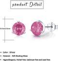 wholesale 925 Sterling Silver CZ Cubic Zirconia Birthstone Gemstone Allergy Proof Earrings for Women-0-3