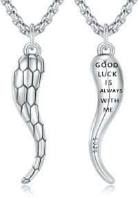 wholesale 925 Sterling Silver Good Luck Italian Horn Necklace for Couples-03-Double-sided with words(silver)