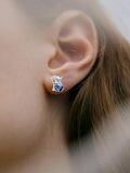 wholesale 925 Sterling Silver Blue Crystal Heart Highland Cow Stud Earrings for Women-0-3